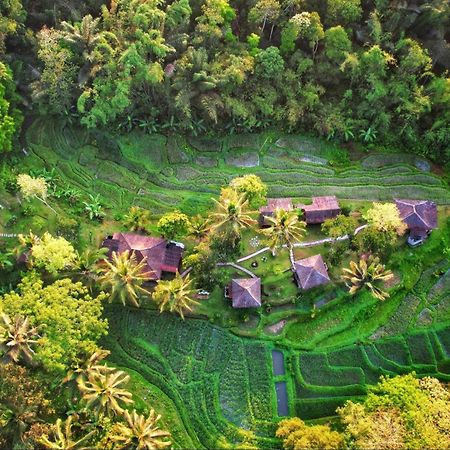 Oemah Tepi Sawah Villa Jatiluwih Dış mekan fotoğraf