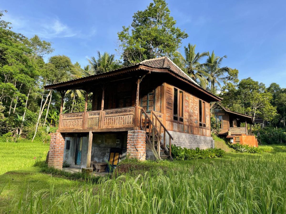 Oemah Tepi Sawah Villa Jatiluwih Dış mekan fotoğraf