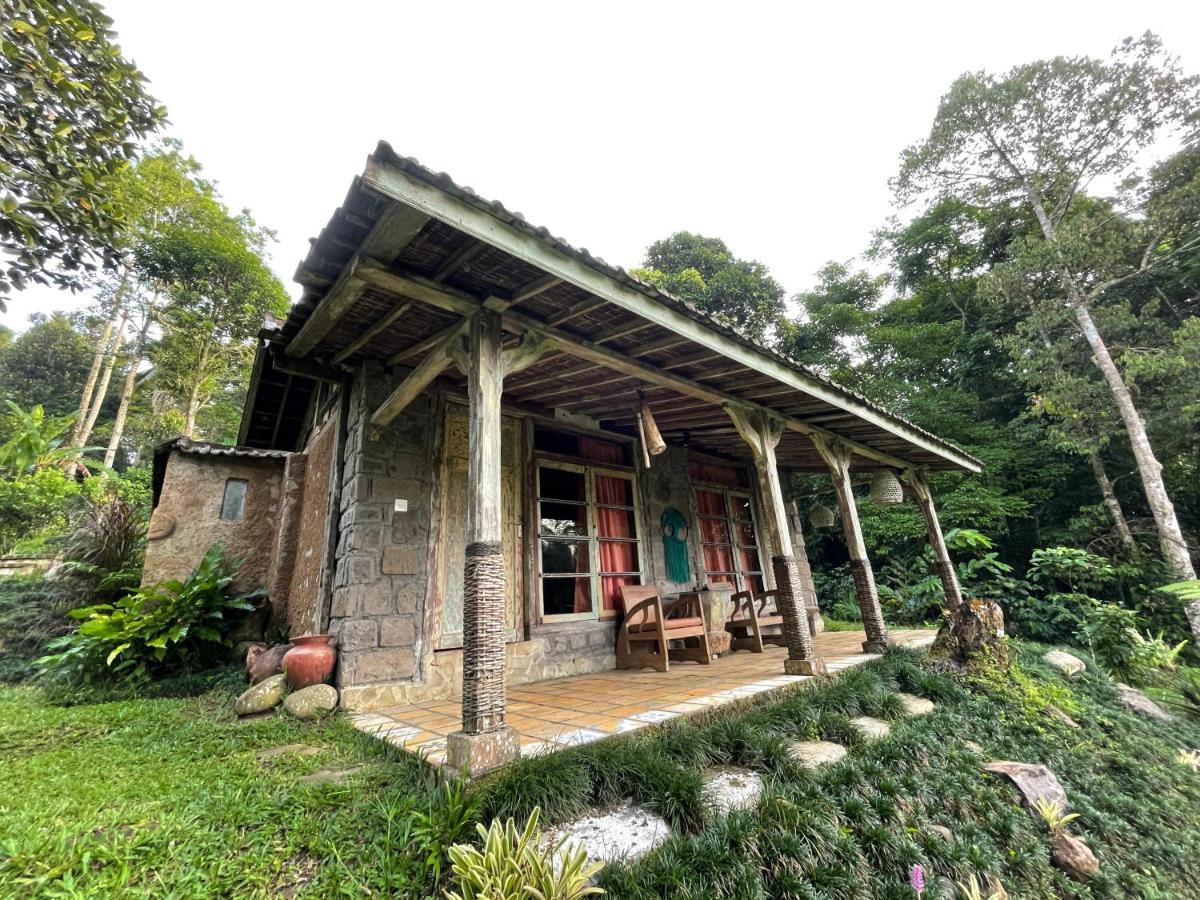 Oemah Tepi Sawah Villa Jatiluwih Dış mekan fotoğraf
