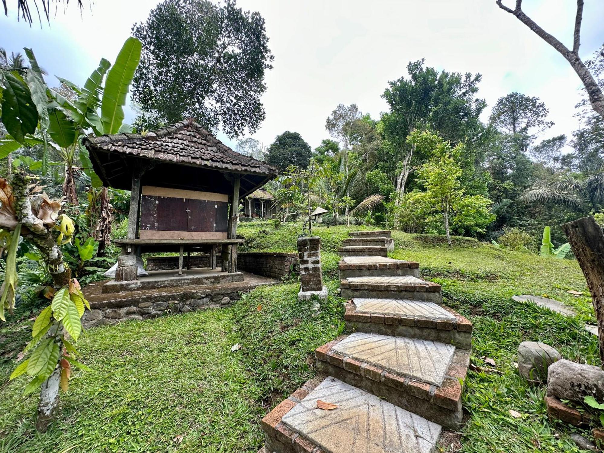 Oemah Tepi Sawah Villa Jatiluwih Dış mekan fotoğraf