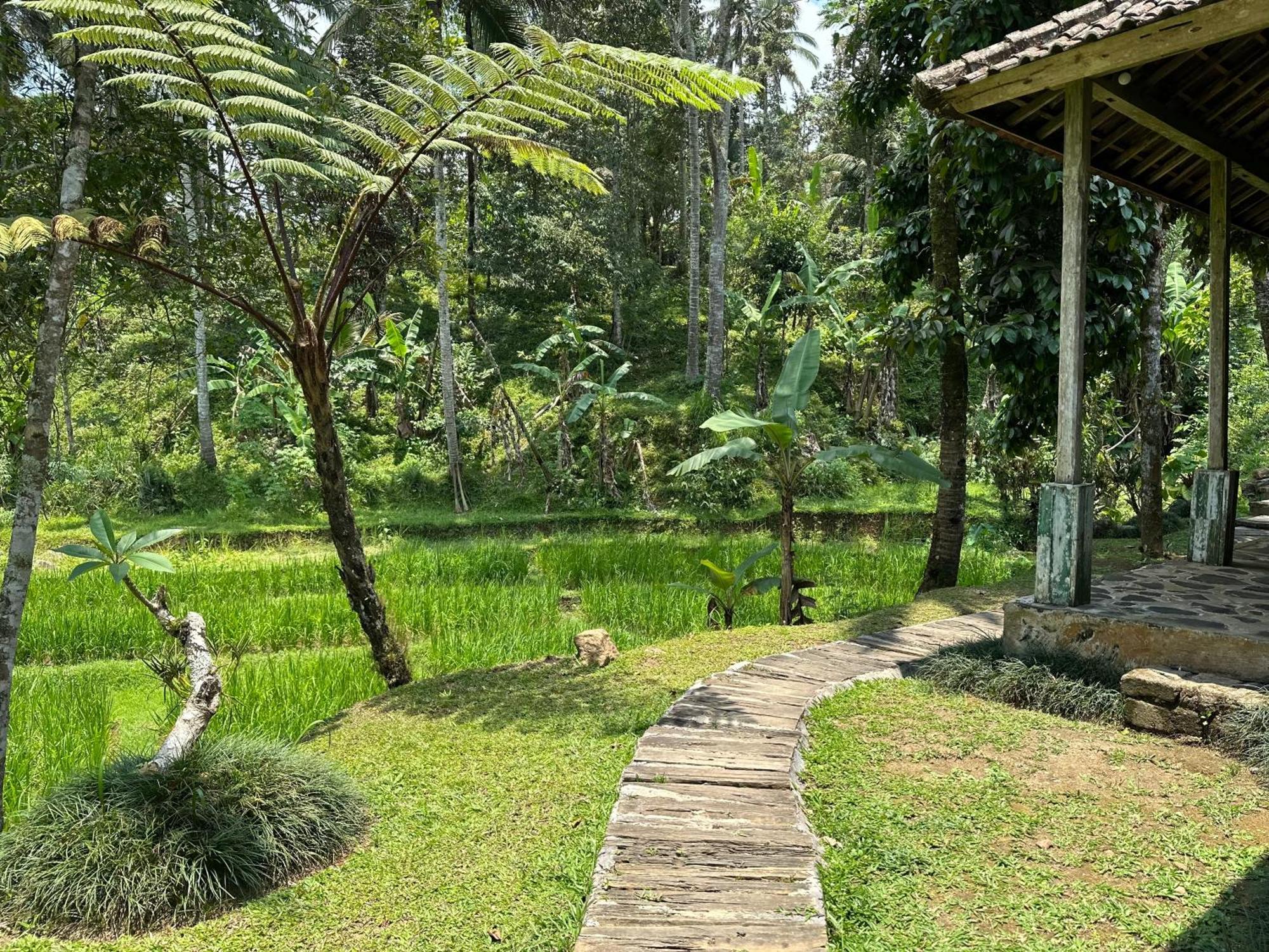 Oemah Tepi Sawah Villa Jatiluwih Dış mekan fotoğraf