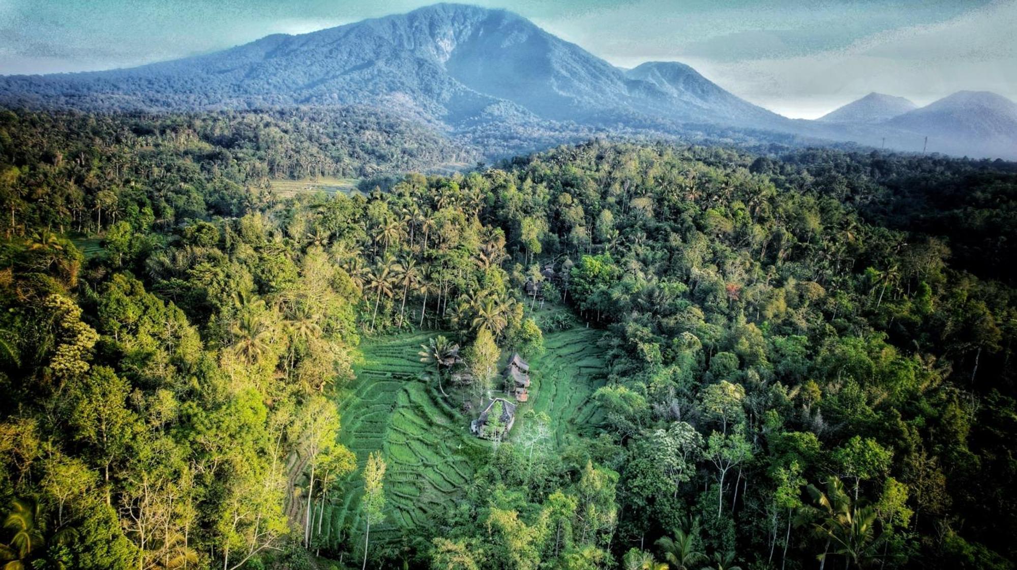 Oemah Tepi Sawah Villa Jatiluwih Dış mekan fotoğraf