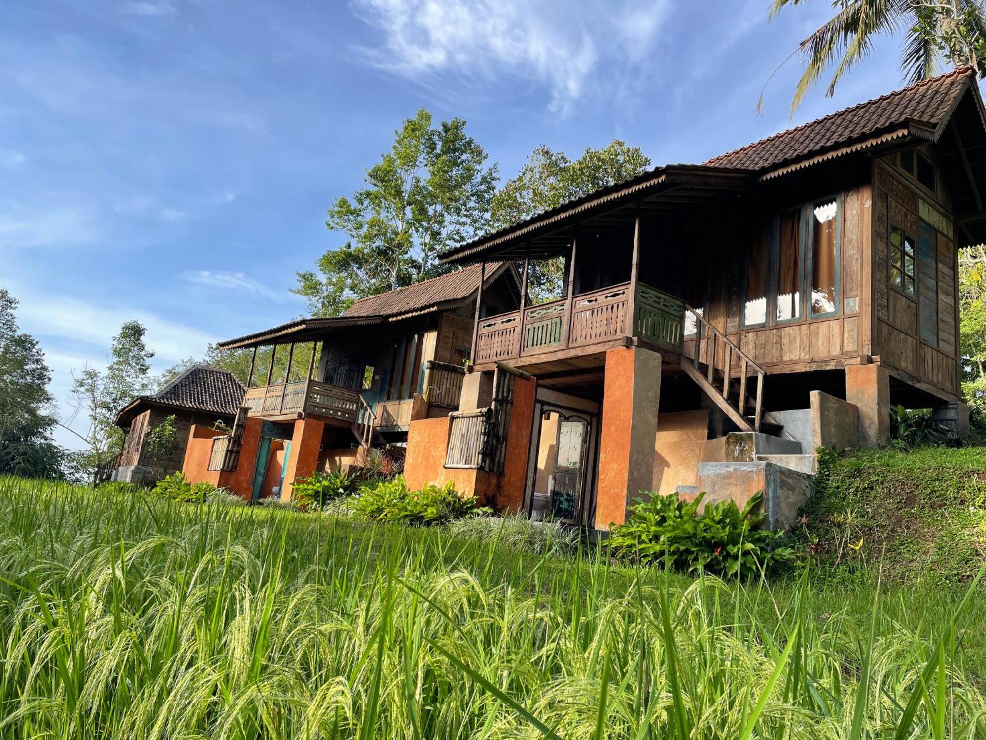 Oemah Tepi Sawah Villa Jatiluwih Dış mekan fotoğraf
