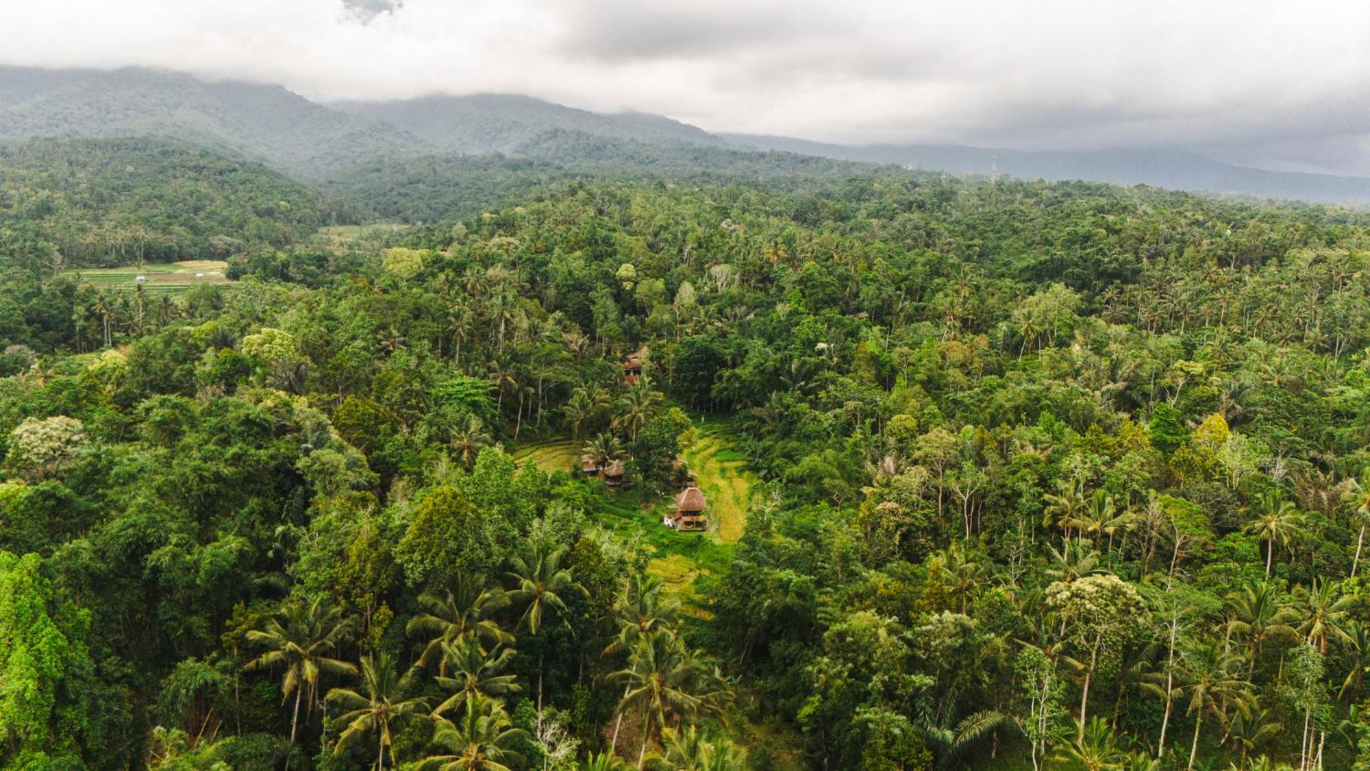 Oemah Tepi Sawah Villa Jatiluwih Dış mekan fotoğraf