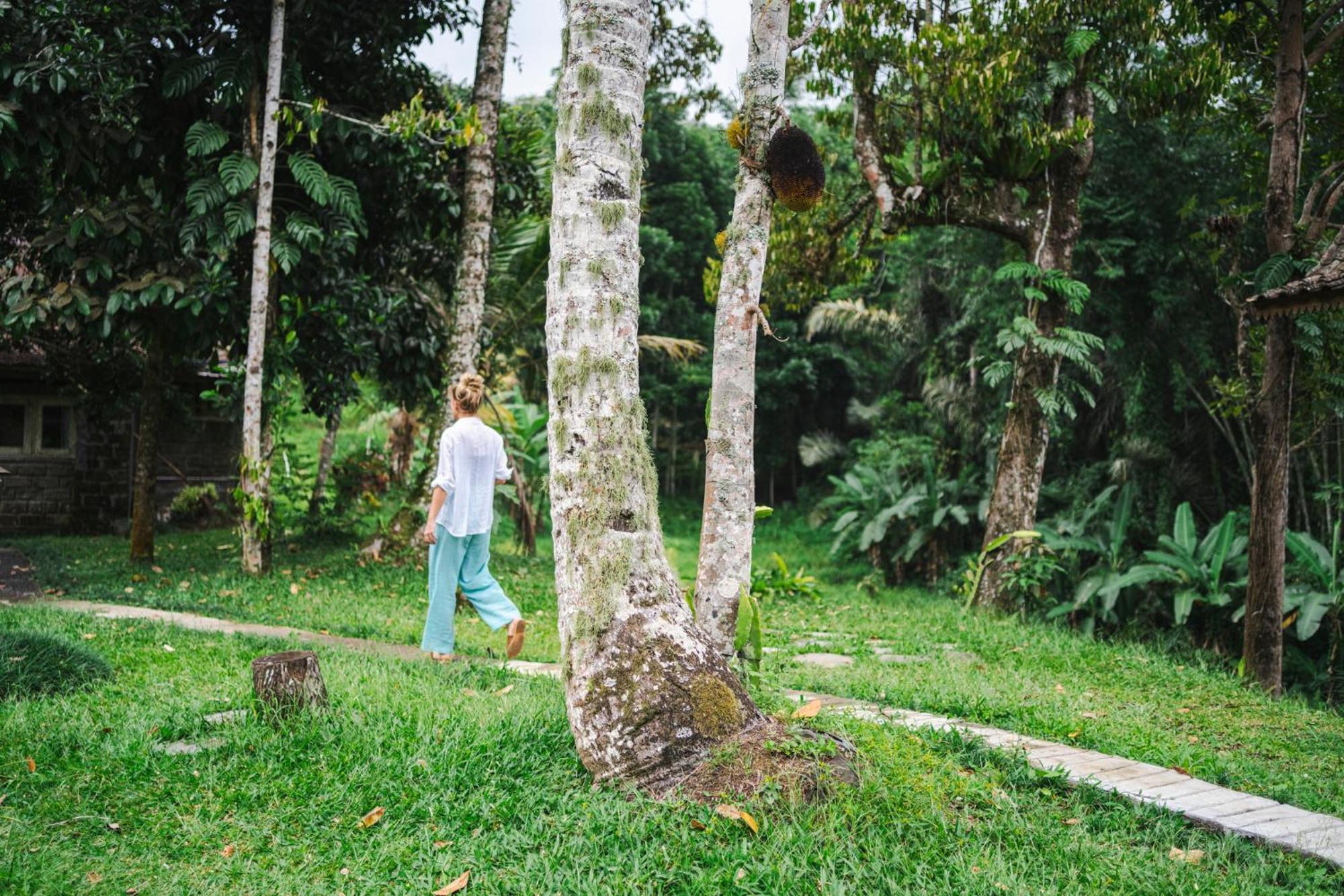 Oemah Tepi Sawah Villa Jatiluwih Dış mekan fotoğraf
